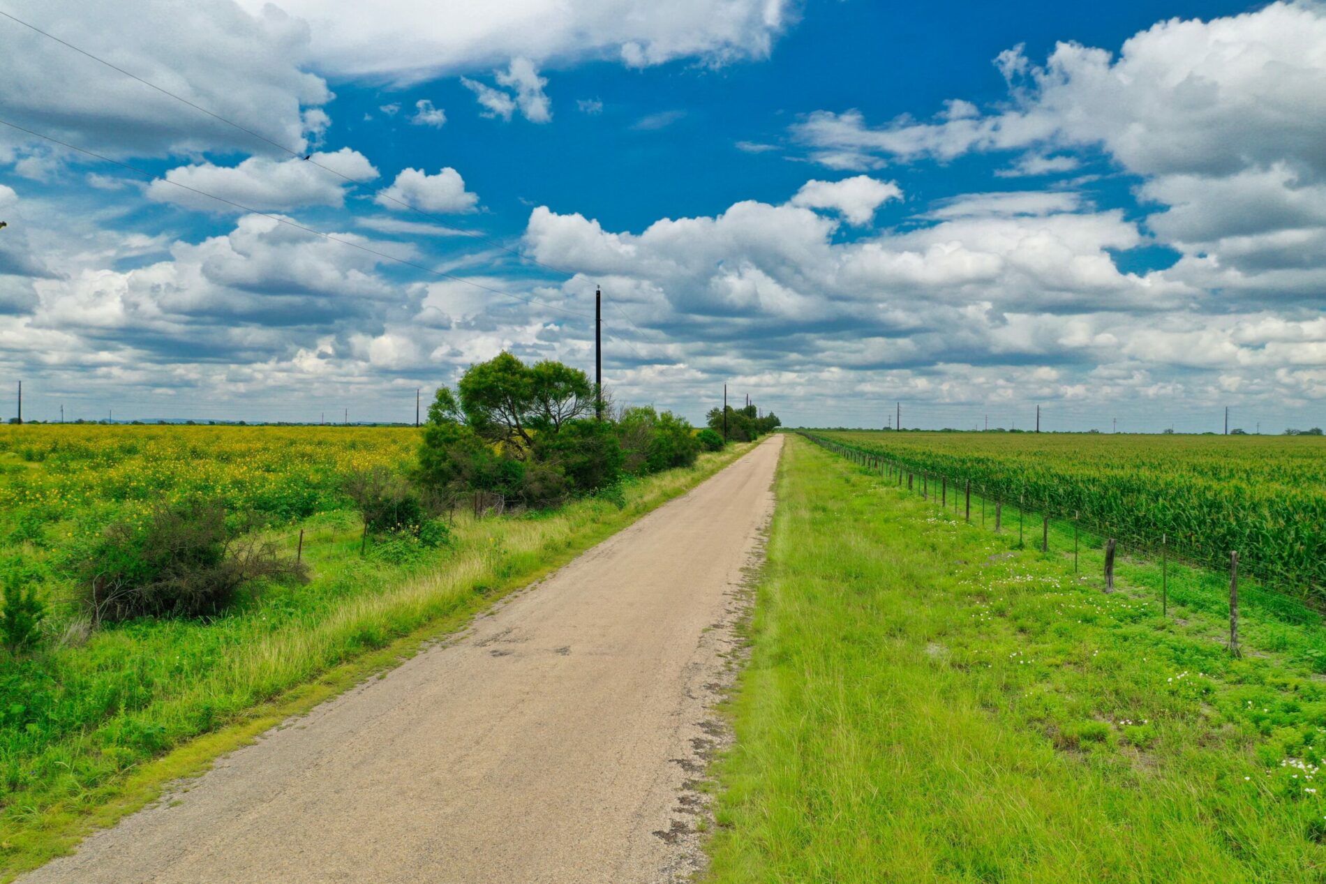 The Best States for Mobile Home Living in 2024